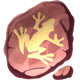 Fossilized Frog