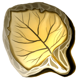 Fossilized Leaf