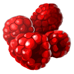 Raspberries