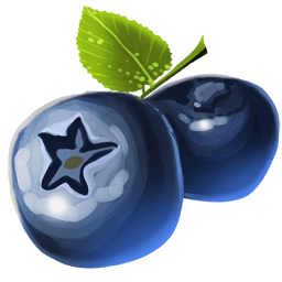 Blueberries