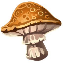Cave Mushroom