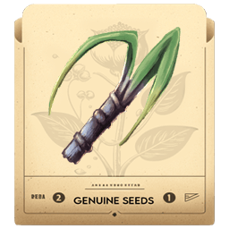 Sugar Cane Seeds